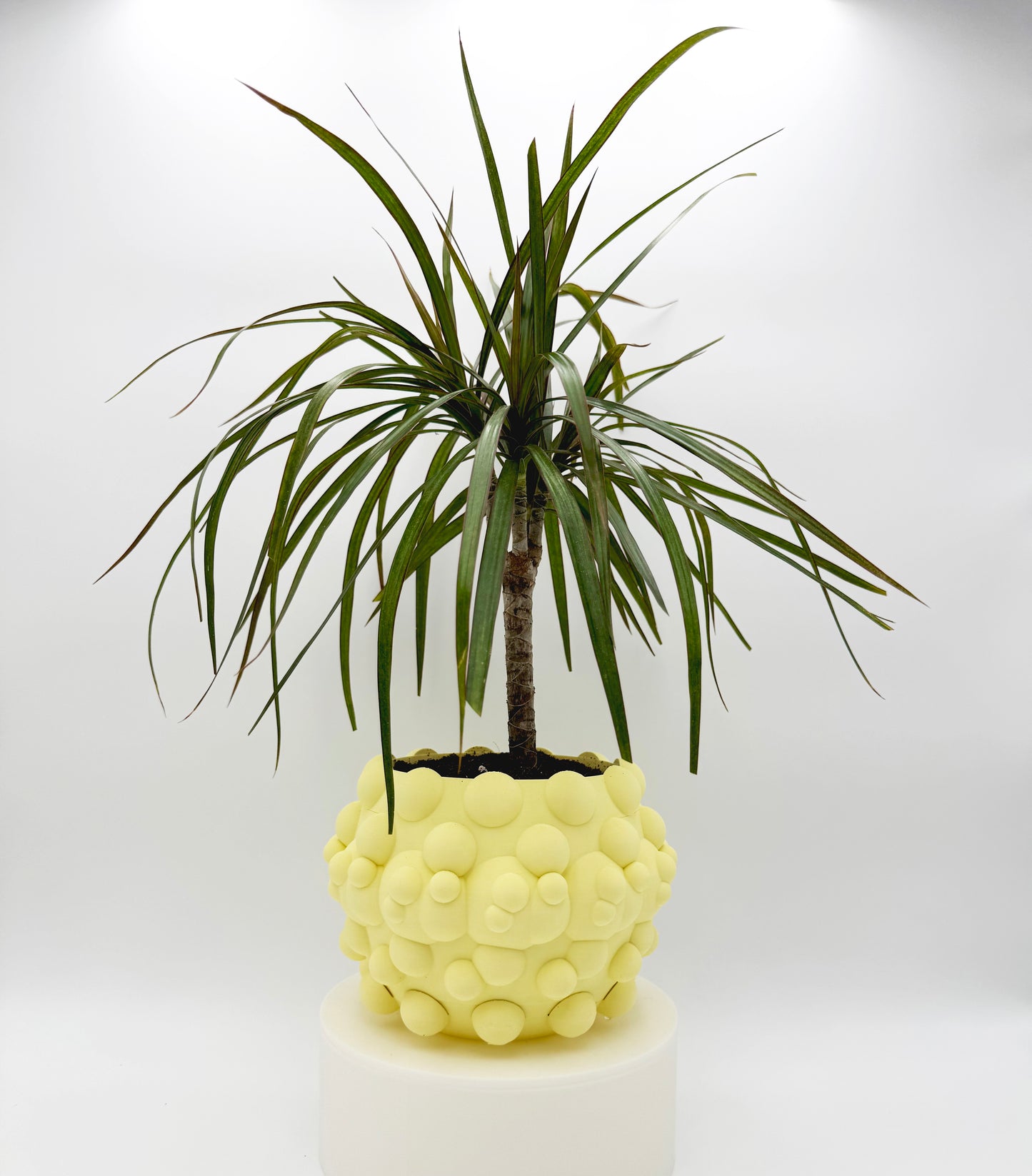 Flower Pot ROUND & ROUND (Yellow soft).