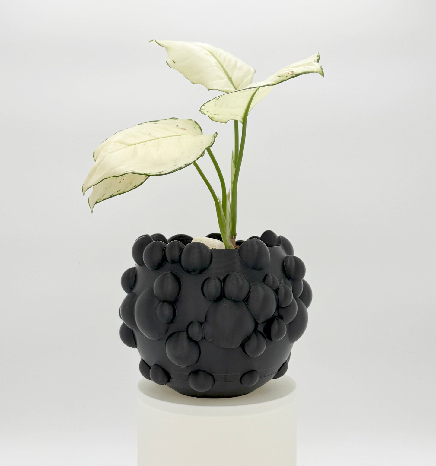 Flower Pot CLOUDS (Black)