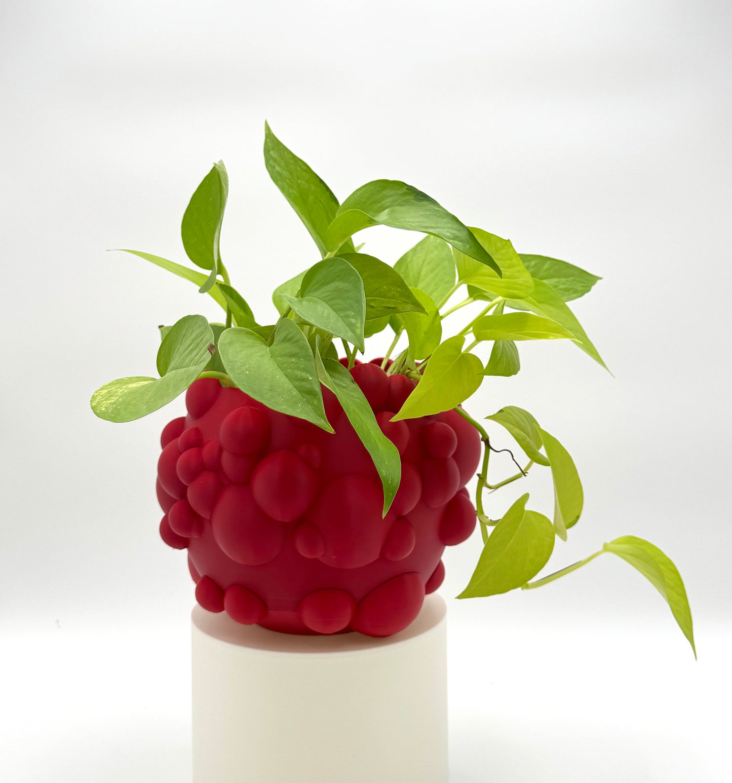Flower Pot CLOUDS (Red)