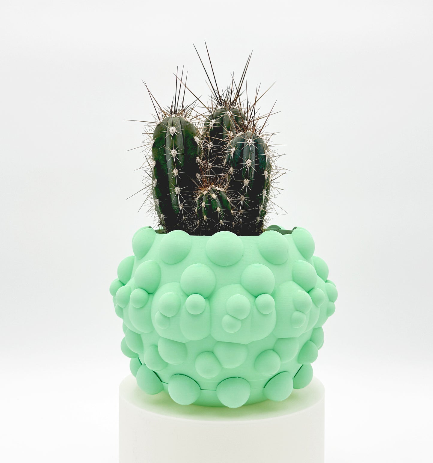 Flower Pot ROUND & ROUND (Mint Soft).