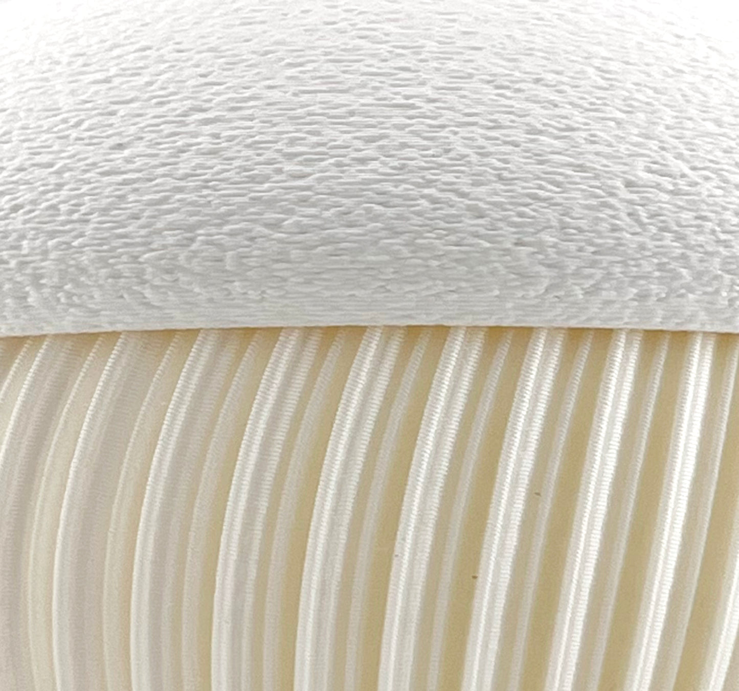 Jar WHITE PEARL (White)