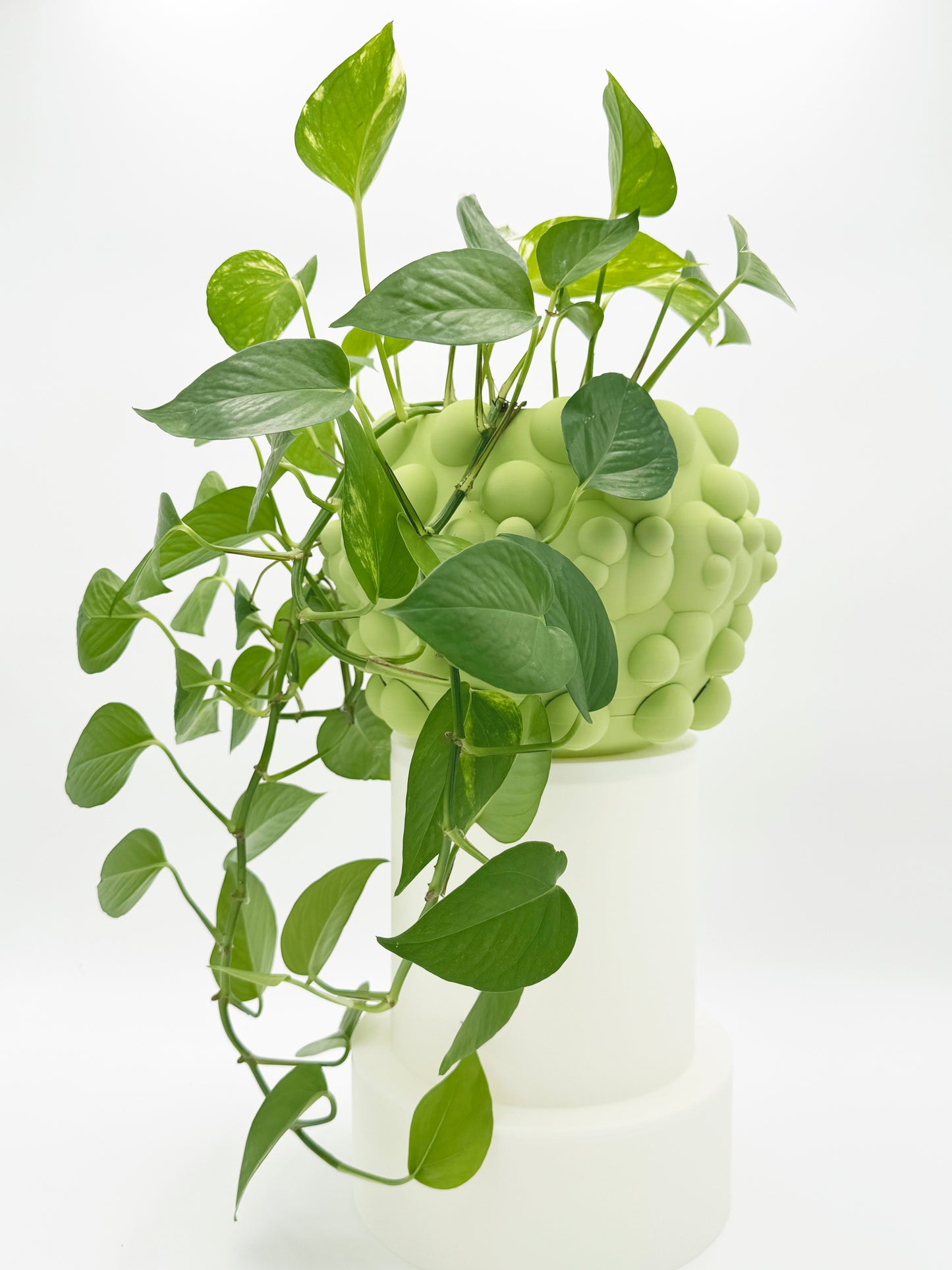 Flower Pot ROUND & ROUND (Green Soft)