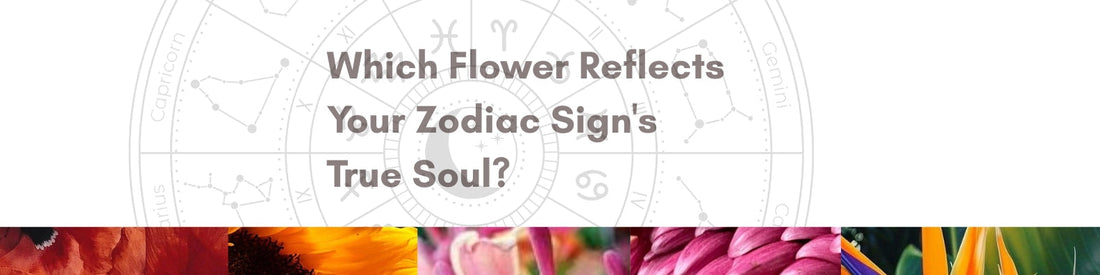 Which Flower Reflects Your Zodiac Sign's True Soul ?