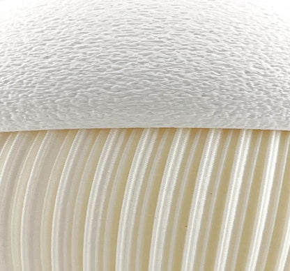 Box White Pearl close-up mosaic texture | JOVI Creative 