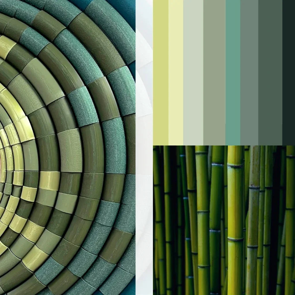 Mirror Bamboo Green mood board & inspiration  | JOVI Creative 