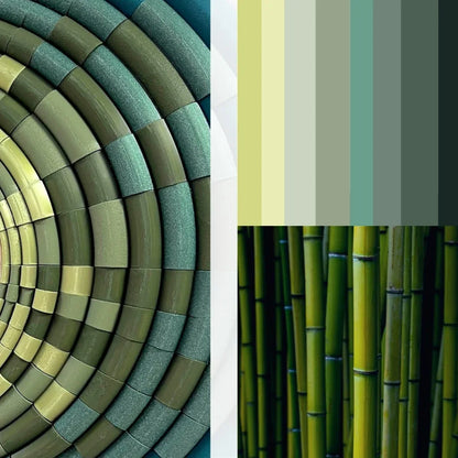 Mirror Bamboo Green mood board & inspiration  | JOVI Creative 