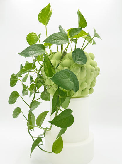 Flower Pot ROUND & ROUND (Green Soft)